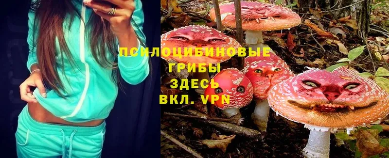 Псилоцибиновые грибы Magic Shrooms  Тулун 