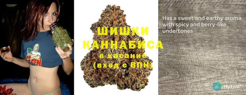 Марихуана OG Kush  Тулун 